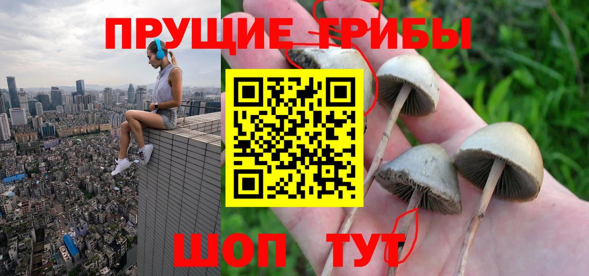магазин    Вход с VPN  Мурино  Галлюциногенные грибы мицелий 