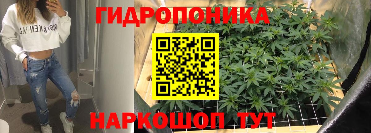 Конопля SATIVA & INDICA Мурино